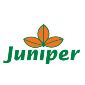 juniper